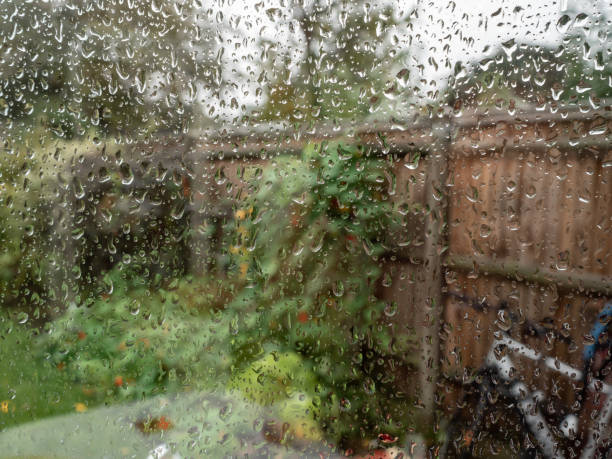 Green garden seen through rain splattered window stock photo