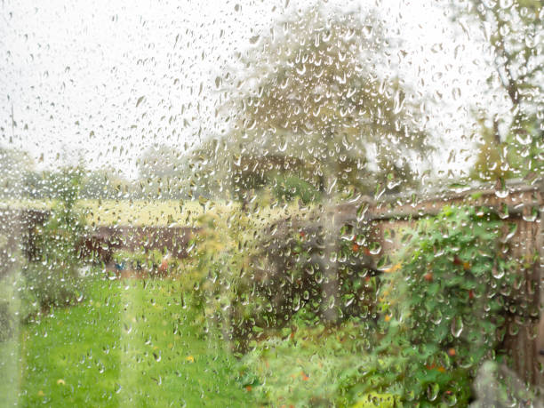 Green garden seen through rain splattered window stock photo