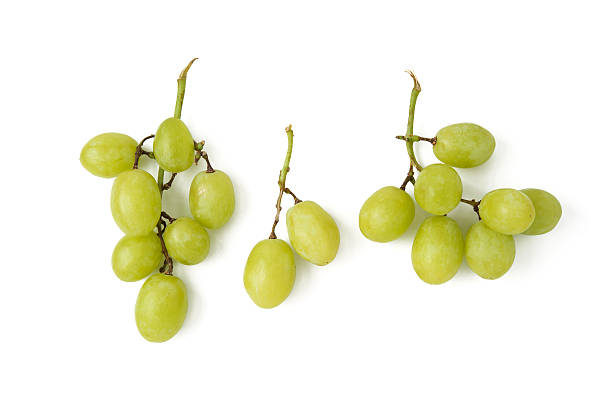green grapes stock photo