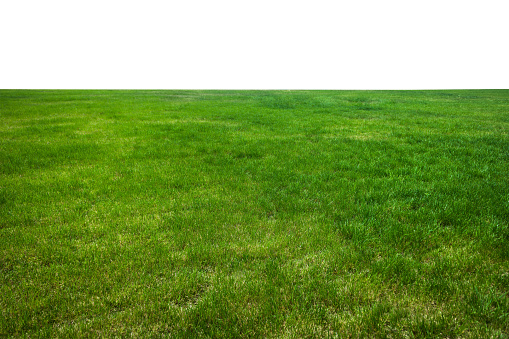 Green grass field on mountain isolated on white background.