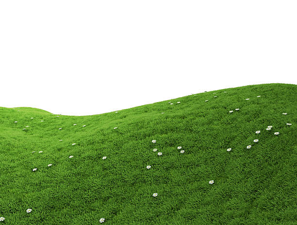Green Grass hill Green Grass hill with dandelions isolated sky hill stock pictures, royalty-free photos & images