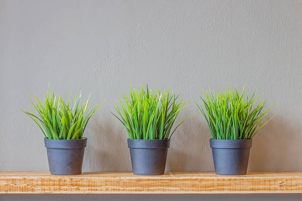green grass in a plastic pot on a wooden board stock photo