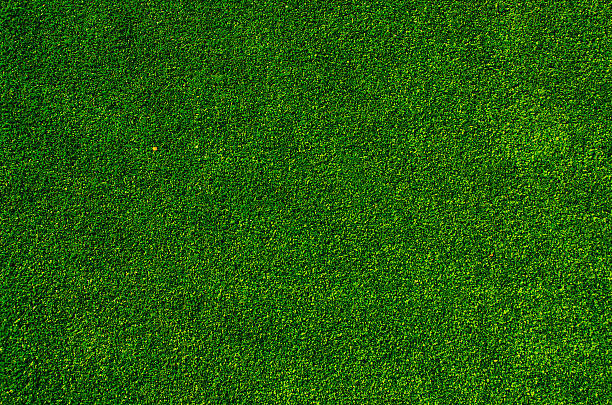 green grass texture background - grass texture stockfoto's en -beelden