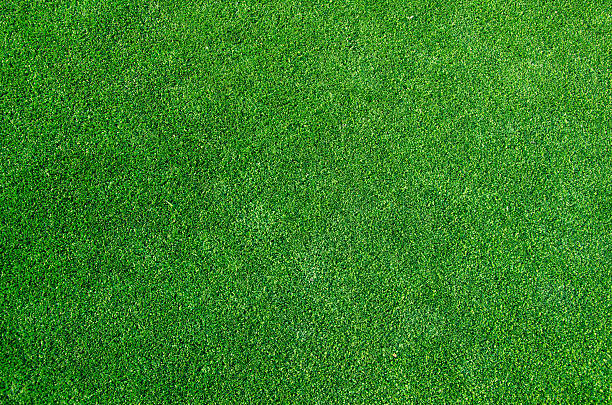 green grass texture background - grass texture stockfoto's en -beelden