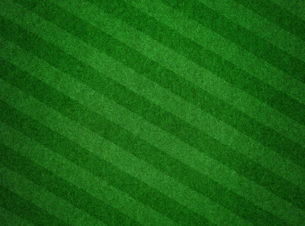 green grass gestructureerde achtergrond met strepen - grass texture stockfoto's en -beelden