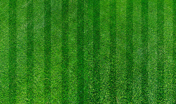 green grass turf - grass texture stockfoto's en -beelden