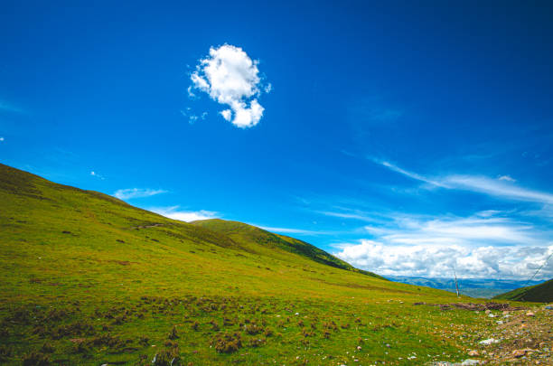 Green highland with deep blue sky stock photo