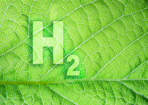 grön väteenergisymbol på en bladstruktur. ekologiskt koncept - green hydrogen bildbanksfoton och bilder