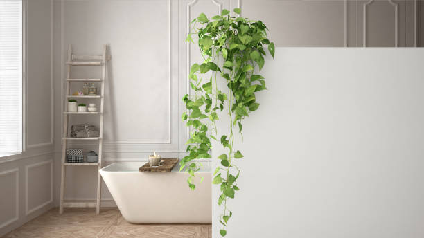 Green interior design concept background with copy space, foreground white wall with potted plant, classic bright bathroom stock photo