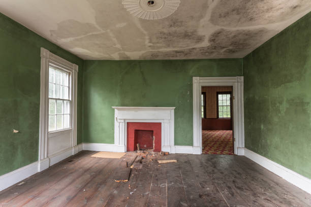 Green interior of an abandoned house stock photo
