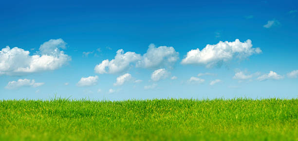 green landscape over clear sky stock photo
