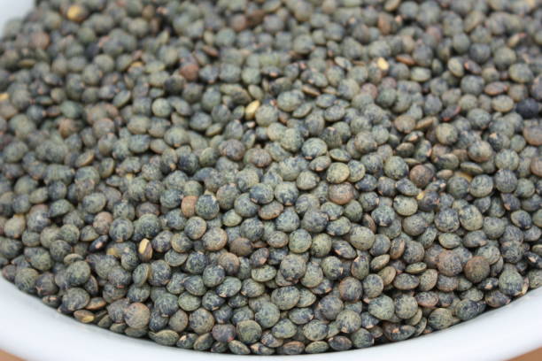 Green lentils  Dried food stock photo