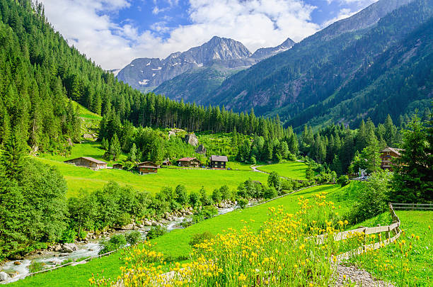 Green meadows, alpine cottages in Alps, Austria stock photo