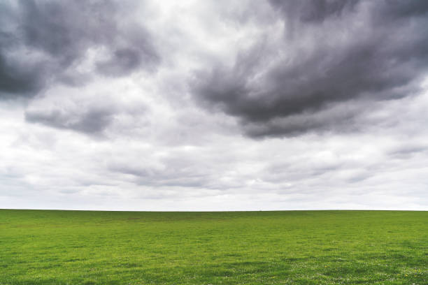 Green meadows under cloudy sky stock photo