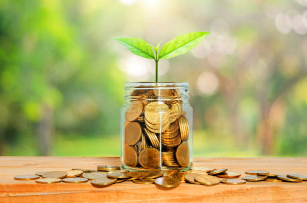 綠色植物生長在玻璃罐的金幣上，用鈔在木桌上的錢，有著模糊的自然背景。商業金融銀行儲蓄概念。投資利潤收入。啟動。成功。 - esg 個照片及圖片檔