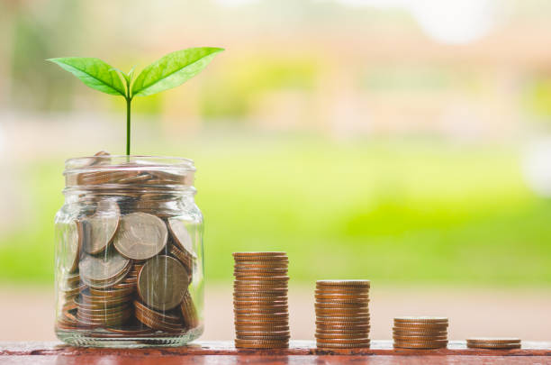 綠色植物生長在玻璃罐的硬幣和硬幣堆在木桌上與模糊的自然背景。商業金融銀行儲蓄概念.投資利潤收入.行銷啟動成功。 - esg 個照片及圖片檔