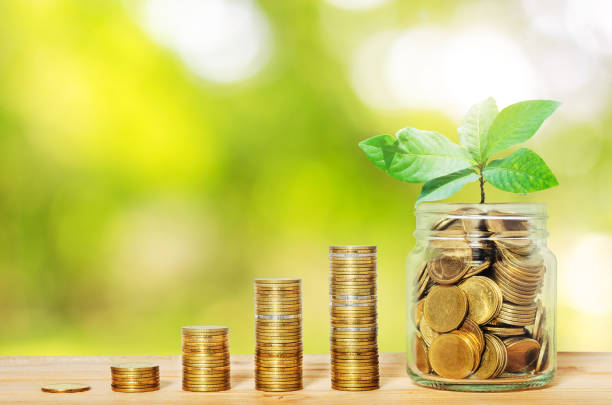 綠色植物生長在玻璃罐的金幣上，錢堆在木桌上，自然背景模糊。商業金融銀行儲蓄概念。投資利潤收入。啟動。成功。 - esg 個照片及圖片檔