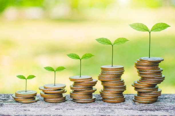 綠植物葉生長在硬幣堆放省錢企業財務成功財富投資預算概念。在木桌上堆放硬幣,背景是綠色模糊。 - esg 個照片及圖片檔