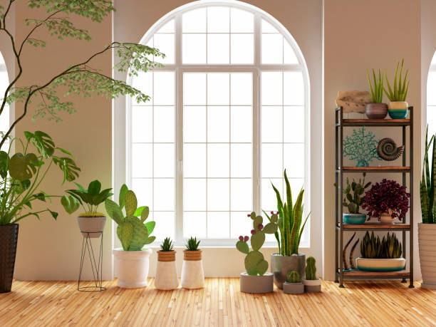 Green Plants and Flowers with Window Green Plants and Flowers with Window. 3d Render houseplant stock pictures, royalty-free photos & images