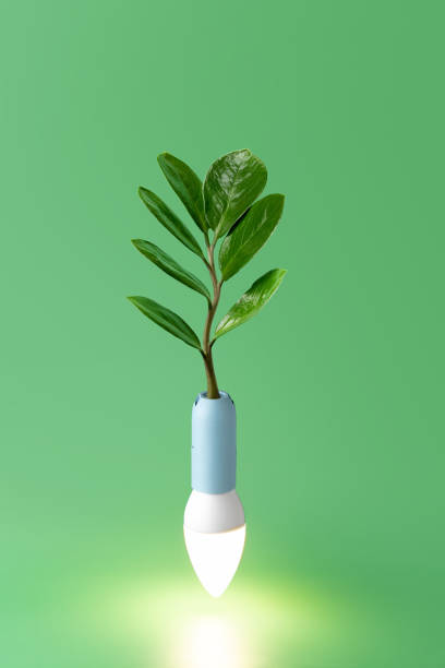 Green power generation concept with plant and diode lamp. Conceptual realism still life stock photo