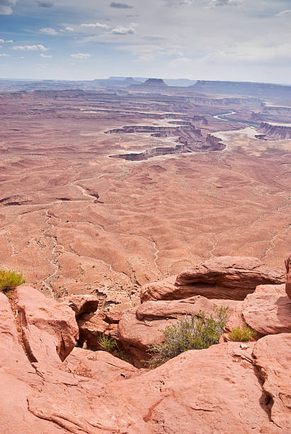Green River Canyon Over time, the relentless forces of water and gravity have created a vast landscape of canyons and cliffs in what is now Canyonlands National Park. Rainwater seeps into the porous sandstone and freezes in the winter. During the monsoon rains, sudden thunderstorms release torrents of water that carry sandstone particles into the rivers below, helping to scour the canyons. From above you get a clear picture of this vast network of canyons. This picture was taken from the Green River Overlook in Canyonlands National Park near Moab, Utah, USA. jeff goulden canyonlands national park stock pictures, royalty-free photos & images