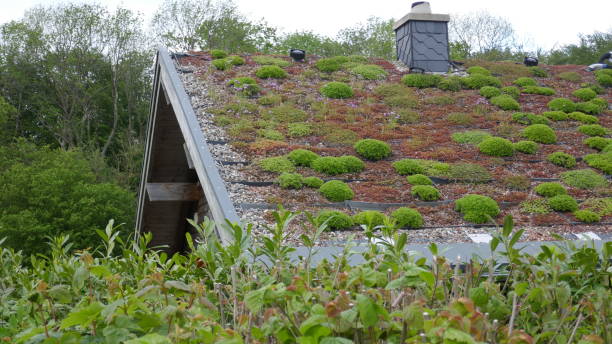 grünes dach eines ökologischen hauses, energiebepflanzt mit gras und moos - dachterasse stock-fotos und bilder