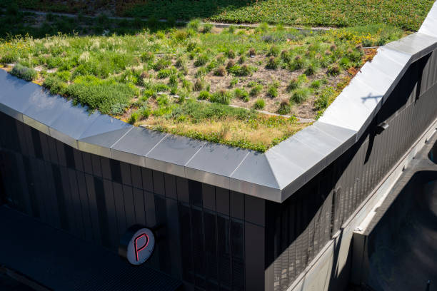 Green Roof stock photo