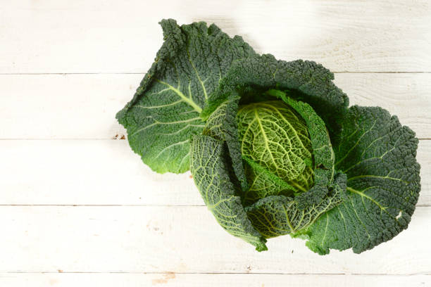 grünen wirsing, einen gesunden winter gemüse, ganze kopf auf rustikalen weißem holz mit textfreiraum, erhöhte ansicht von oben - wirsing zubereiten stock-fotos und bilder