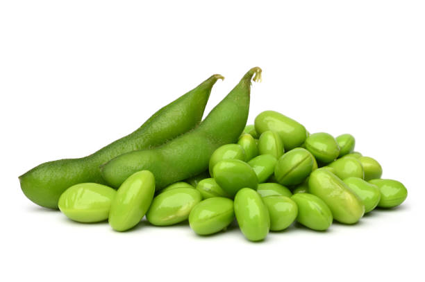 Green soybean stock photo