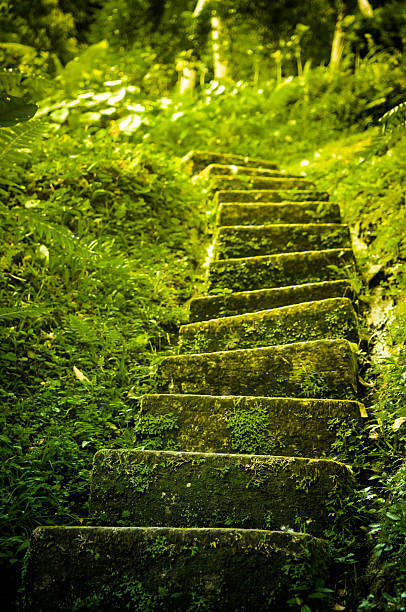 green stair - old stone stair stockfoto's en -beelden