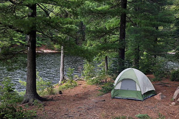 Green Tent beside Algonquin Lake stock photo