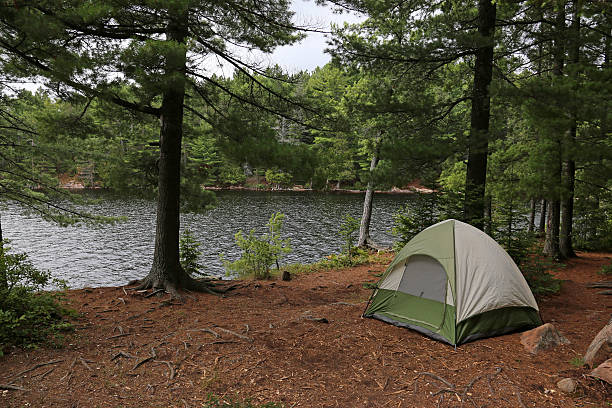 Green Tent in Algonquin Park stock photo