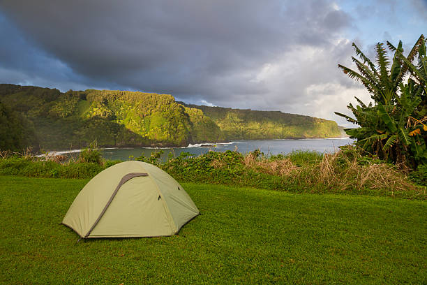 Green Tent Pitched in Lush Maui Coastline stock photo