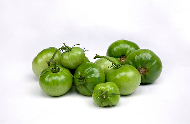 green tomatoes stock photo