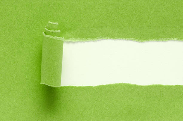latar belakang kertas robek hijau bertekstur terisolasi pada putih - kedatangan konsep potret stok, foto, & gambar bebas royalti