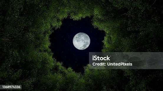 istock Green tree crowns with moon in night time, 3D illustration 1368974336