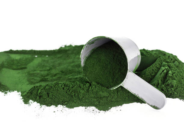 Green vegetarian protein or spirulina powder Green vegetarian protein or spirulina powder on white background green algae stock pictures, royalty-free photos & images