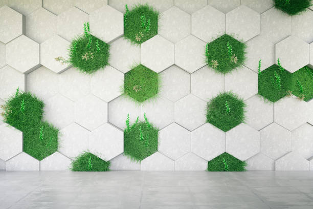 green mur - architecture ecologie photos et images de collection