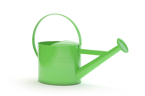 Green watering can isolated on white, 3d illustration