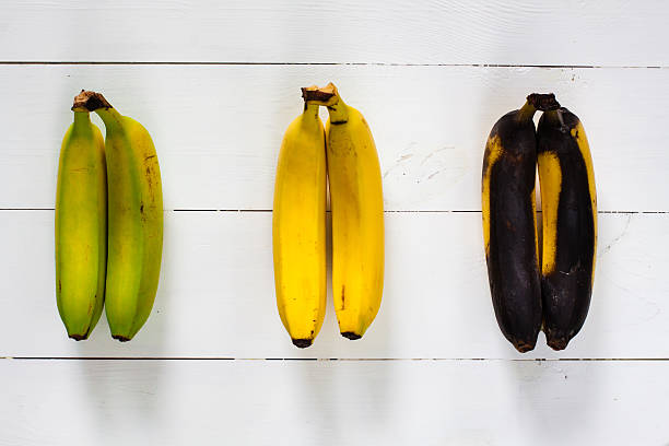 Green, yellow and black bananas. Green, yellow and black bananas arranged in a row on white wooden table. ripe stock pictures, royalty-free photos & images