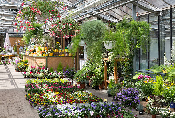 Greenhouse full of plants for sale in the garden center  Garden center selling plants in a greenhouse garden center stock pictures, royalty-free photos & images