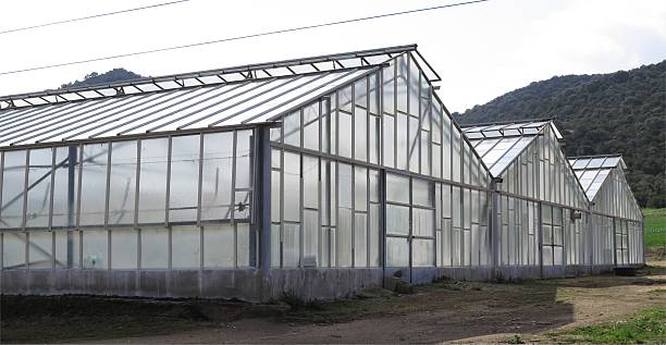 Greenhouses made using plexiglass