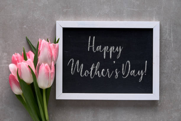 Greeting "Happy Mother's day!" on blackboard with white tulips with pink stripes, flat lay on grey stone Greeting text "Happy Mother's day!" on blackboard with white tulips with pink stripes, flat lay on grey stone background lily family stock pictures, royalty-free photos & images