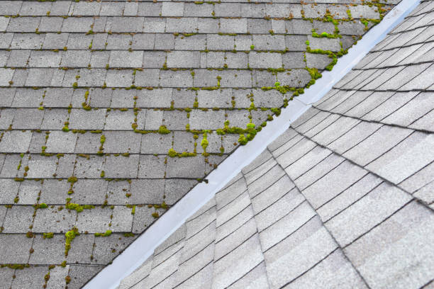 grey bitumen asphalt shingles roof Different two parts of grey bitumen asphalt shingles roof one part overgrown with green moss other clean. moss stock pictures, royalty-free photos & images