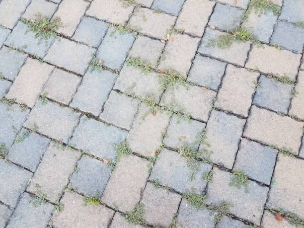 grey stone or brick tiles with weeds grey stone or brick tiles with green weeds tessellation stock pictures, royalty-free photos & images