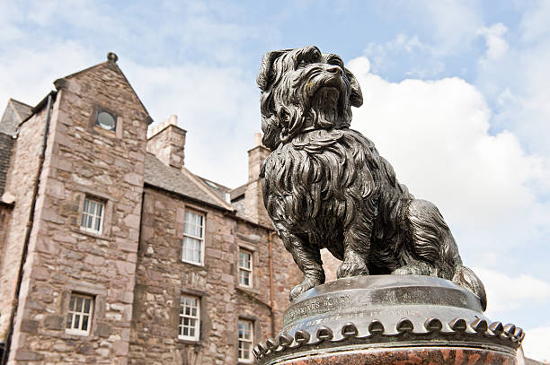 Greyfriars Bobby  national dog day stock pictures, royalty-free photos & images