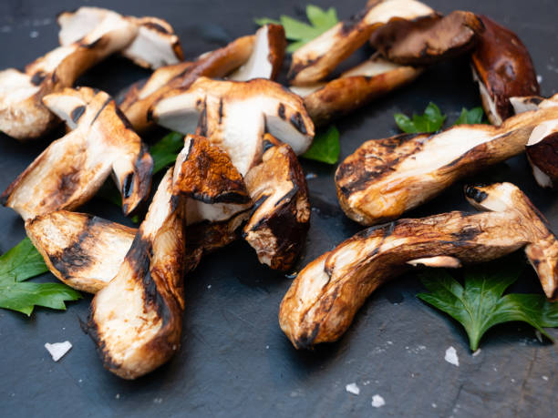 grilled porcini mushrooms - mushrrom bildbanksfoton och bilder