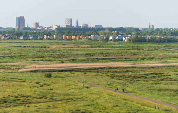 Groningen skyline Skyline of the Dutch city of Groningen seen from an observation tower in nature reserve 'de Onlanden'. groningen city stock pictures, royalty-free photos & images