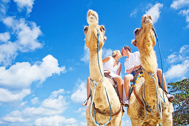 Groom and his bride riding camels on the beach Bali hot egyptian women stock pictures, royalty-free photos & images