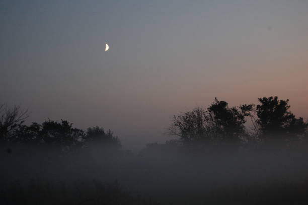 Photo of Ground mist, moon and sunset.